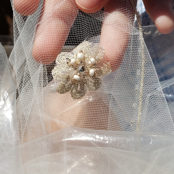 Davids bridal veil - Picture 5 of 5